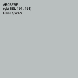 #B9BFBF - Pink Swan Color Image